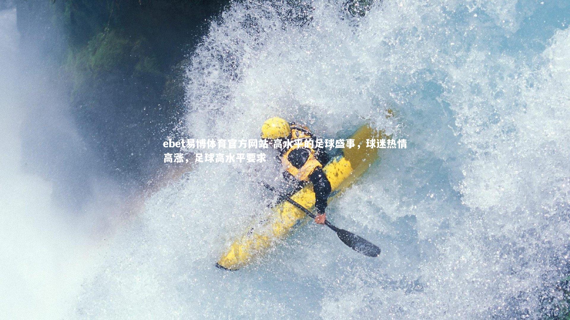 高水平的足球盛事，球迷热情高涨，足球高水平要求